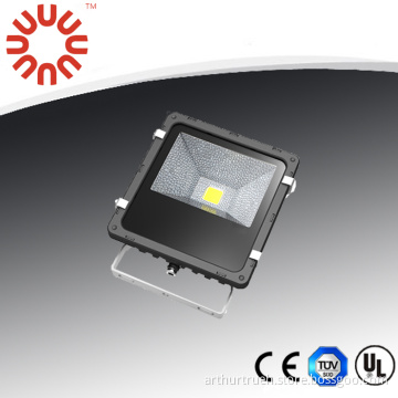 10W LED Projector Sensor Floodlight